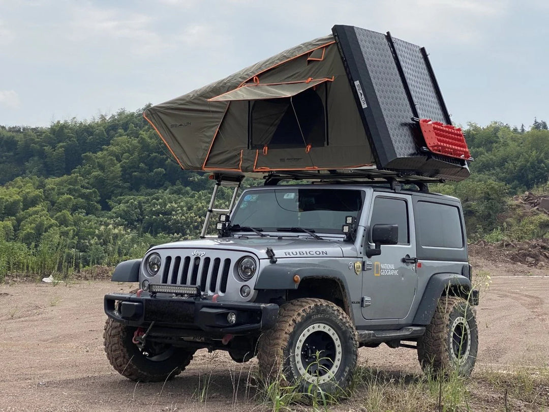 Rooftop tent with ladder access